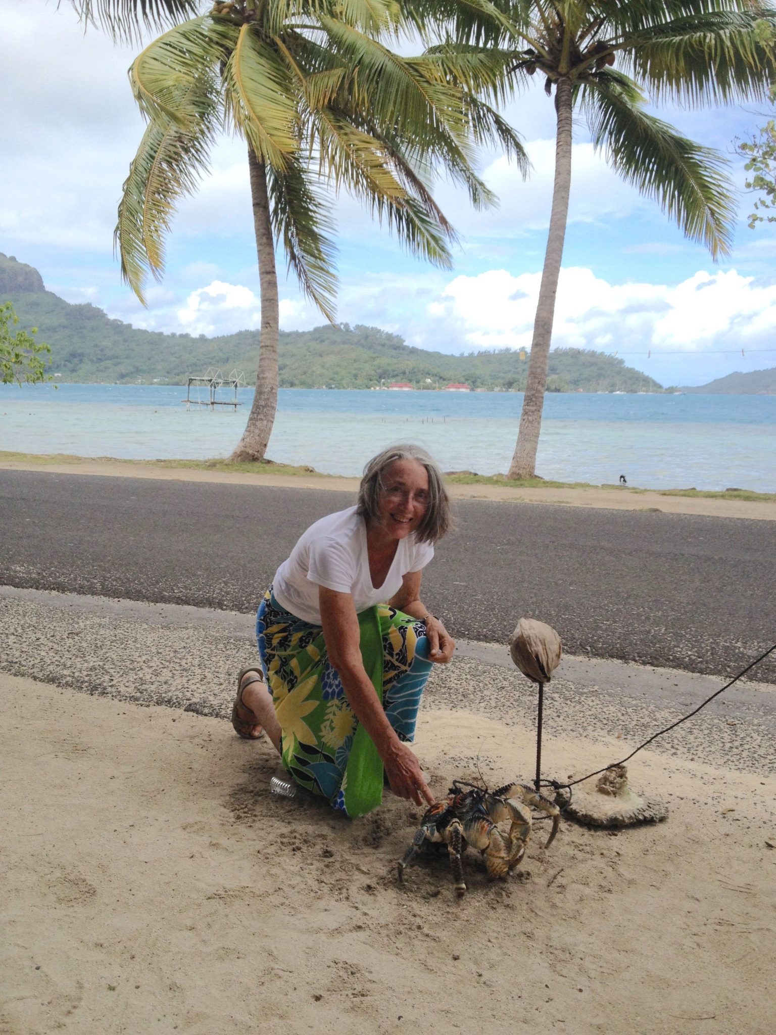 30. Anne is with C.T. the flambouyant 15 year old coconut crab.  C.T. is eating a coconut with his huge claws. Coconut crabs used to be everywhere in Bora Bora.  Now they bring them in from other islands in Polynesia to sell to the locals for food.