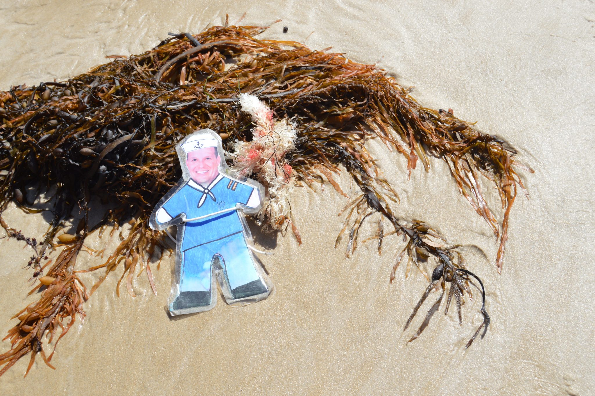 150. Flat Mr. Davis noticed some plastic pollution on the Bass Strait, Victoria, Australia, December 2015